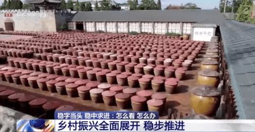農業農村部部長提出三個重點 農業企業托管服務助力鄉村振興全面展開